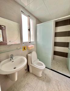 a bathroom with a toilet and a sink at Aliwan 小路彎彎 in Taitung City