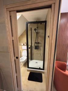 a bathroom with a toilet and a mirror at esperanza in Vizille