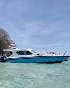 a blue and white boat sitting in the water at Komodo Nest Tour in Komodo Labuan Bajo Airport