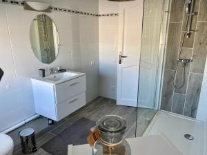 a bathroom with a shower and a sink and a mirror at Private studio in Loft in Tarbes in Tarbes