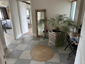 a hallway with a mirror and a potted plant at Private studio in Loft in Tarbes in Tarbes