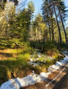 a trail in the woods with snow on the ground at Chata Štefička in Josefŭv Dŭl