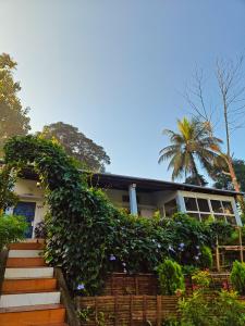 a house with a green ivy climbing up the stairs at Org Retreat & Farmstay in Guwahati