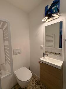 a bathroom with a toilet and a sink and a mirror at Appartement Duplex The Lighthouse in Châteaulin +6 photos