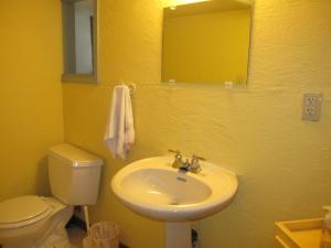 a bathroom with a sink and a toilet and a mirror at Wanderfalls Guesthouse & Hostel in Niagara Falls