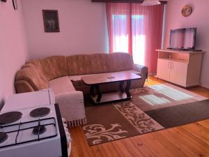 a living room with a couch and a stove at Apartman Buric in Vogošća