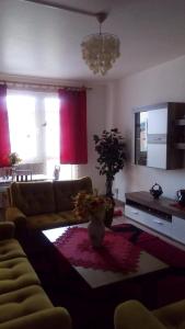 a living room with a couch and a table at Apartman Pod Vysokymi Tatrami in Nová Lesná