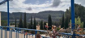 a view of a garden with trees and a mountain at Haut de villa calme, 2 chambres et vue dégagée - proche calanques in Roquefort-la-Bédoule +1 photo