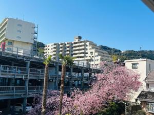 a tall apartment building with palm trees in the foreground at Izu-no-umi Hotel in Atami