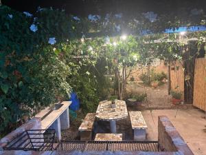 a garden at night with a table and benches at La Violeta Due, casa con jardín y cochera in San Pedro