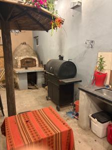 a kitchen with a grill and a pizza oven at "La Violeta" casa con jardín, San Pedro in San Pedro