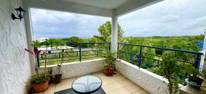 a balcony with potted plants and a view at Ensuite Room in a shared apartment with pool in Albion