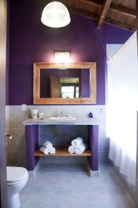 La salle de bains est pourvue d'un lavabo, d'un miroir et de toilettes. dans l'établissement Las Retamas Apart Boutique, à Sierra de la Ventana