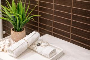 a plant on a table with towels and a plant at Haroupia The Residence in Kalidhón +24 photos