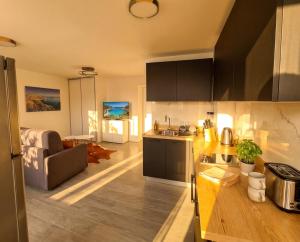 a kitchen and living room with a couch and a table at Studio Les Allées in LʼÎle-Rousse