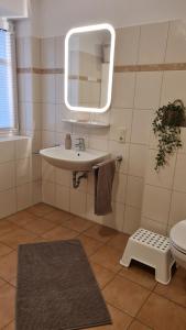 a bathroom with a sink and a mirror and a toilet at Ferienhaus Weidblick in Westerstede +22 photos