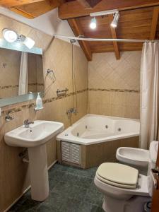 a bathroom with a sink and a toilet and a tub at Apart Hotel del Pellin in San Martín de los Andes +161 photos