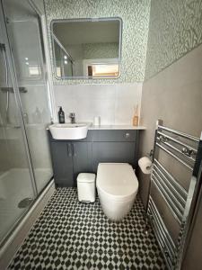 a bathroom with a toilet and a sink and a mirror at Haven House Rooms, Barry in Barry