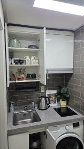 a kitchen with a sink and a dishwasher at La Petite Maison d'Hôtes in Seoul