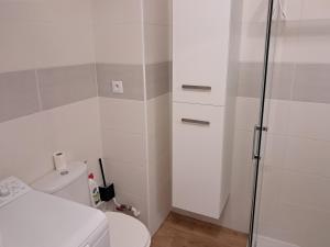 a small bathroom with a toilet and a shower at Studio BERNARD in Saint-Cyr-sur-Mer