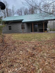 a house with a green roof and a yard at BearAss Lodge in Hayward