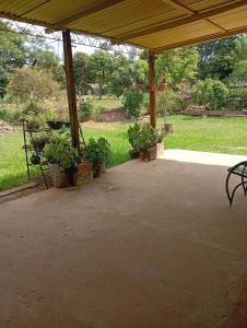 a patio with a table and potted plants at Posada El Descanso in Caacupé