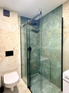 a shower stall in a bathroom with a toilet at Drahan Apartment 38 in Radom