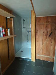 a bathroom with a shower with a shower stall at Arcoiris in Seifhennersdorf