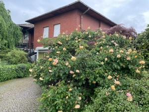 a large bush of roses in front of a house at B&B Villa Giardini Susanna in Veruno +50 photos
