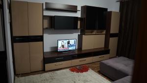 a living room with a tv on a entertainment center at Apartament 2 camere SIBIU-SELIMBAR in Şelimbăr
