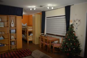 a living room with a christmas tree in a room at Hei un Urlaub in Neu Damerow