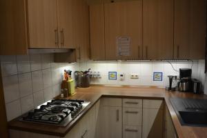 a kitchen with wooden cabinets and a stove top oven at Hei un Urlaub in Neu Damerow