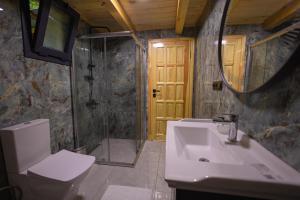 a bathroom with a sink and a shower and a toilet at Nanus Ayder Bungalow and Breakfast in Çamlıhemşin +4 photos