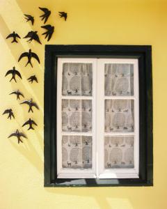 a group of birds flying around a window at The Five House in Sintra