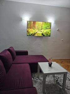 Televisor o centre d'entreteniment de Apartman Iman1