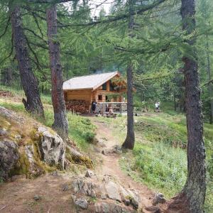 a log cabin in the middle of a forest at Mansarda Ossana in Fucine +6 photos