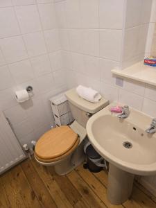 a bathroom with a toilet and a sink at Causeyside apartment in Paisley