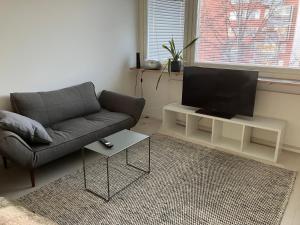 a living room with a couch and a flat screen tv at Yksiö Koulukadulla - autopaikka - Wi-Fi in Seinäjoki
