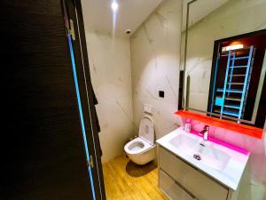 a bathroom with a toilet and a sink and a mirror at Chalet urbain-150m2 jardin privatif-15mn de Paris in Le Bourget +25 photos