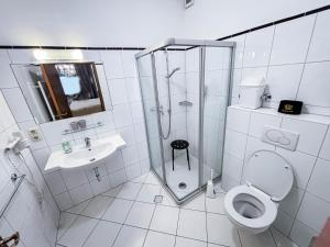 a bathroom with a shower and a toilet and a sink at Hotel Zunftstube in Saarburg