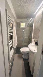 a bathroom with a toilet and a sink at Wooden Bridge Residence in Karlovy Vary +14 photos