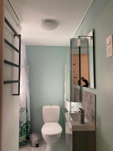 a bathroom with a toilet and a sink and a mirror at Gîte le Taurion in Saint-Priest-Taurion