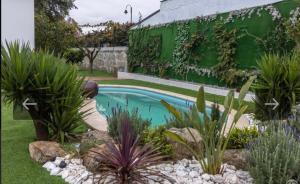 a swimming pool in a garden with plants at O Cantinho da Cotovia in Valpaços