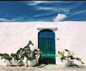 a green door in a white building with potted plants at RODRIGUEZ Luxury Suite in Ostuni