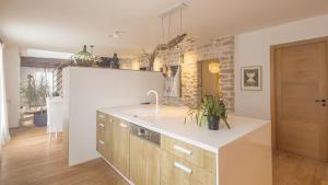 a kitchen with a sink and a counter top at Villa Coubertin in La Rivière-de-Corps