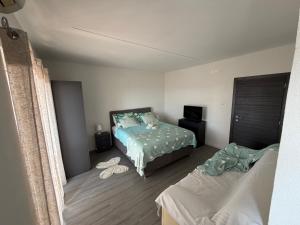 a bedroom with a bed and a couch in it at Apartman Dora in Šmrika +29 photos