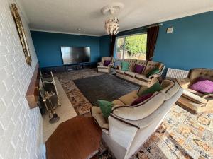 a living room with blue walls and couches and a television at Tullyeskar House - Monasterboice in Philipstown