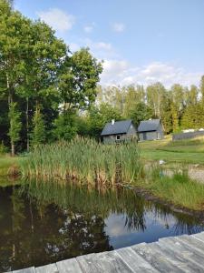 a house in the distance with a pond in front at Leśny Reset 2 in Grabowo