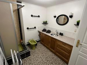 a bathroom with a sink and a mirror at Gîte de la Rouge Roye in Nompatelize +51 photos