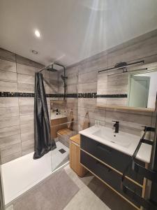 a bathroom with a shower and a sink and a tub at L'escale du Chemin des Dames in Cerny-en-Laonnois +7 photos